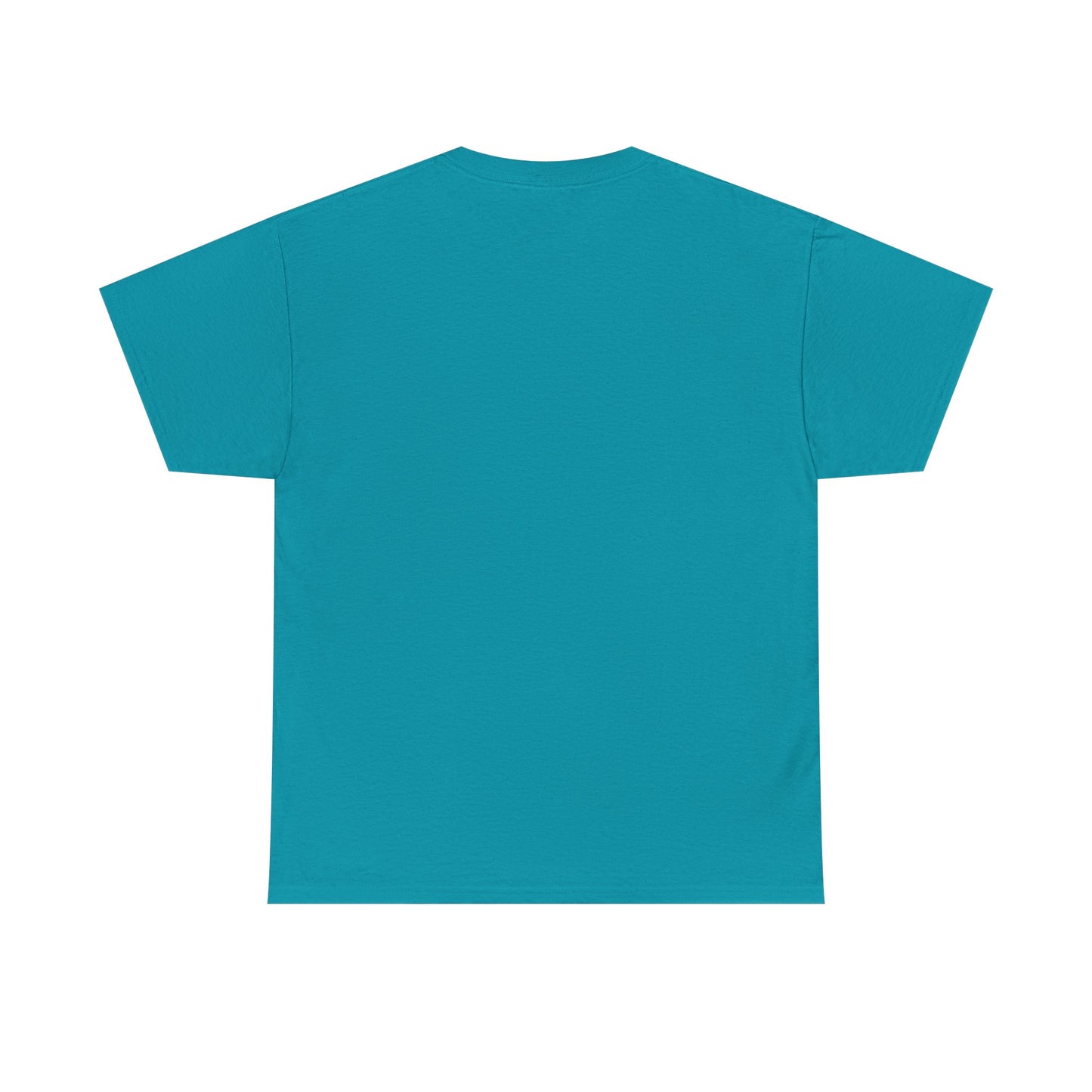 Adult Unisex Lincoln, NE Graphic Tee (North America Customers)