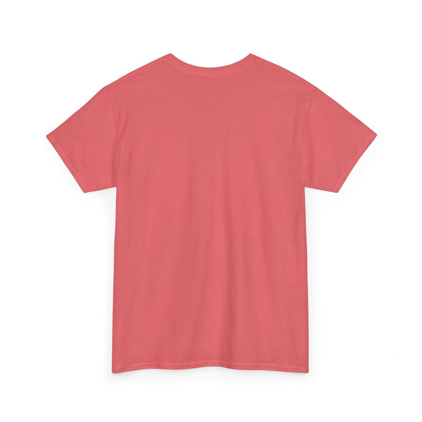 Adult Unisex Lincoln, NE Graphic Tee (North America Customers)
